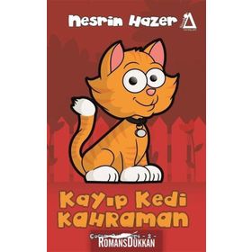 Kayıp Kedi Kahraman - Linda Newbery