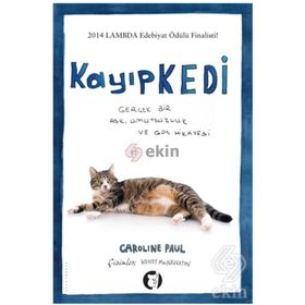 Kayıp Kedi - Sadık Yemni