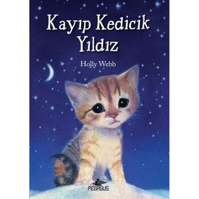 Kayıp Kedicik Yıldız - Holly Webb