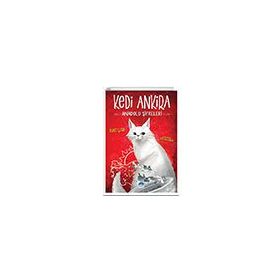 Kedi Ankira Anadolu Şifreleri Martı Çocuk Yayınları