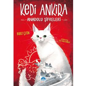 Kedi Ankira Anadolu Şifreleri Martı Çocuk Yayınları