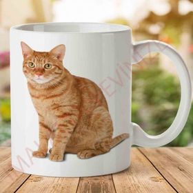 Kedi İki Tarafı Baskılı Kupa