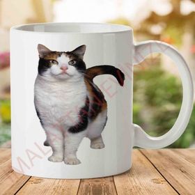Kedi İki Tarafı Baskılı Kupa
