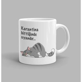 Kedi Kediler-İlginç Baskılı Kupa Bardak