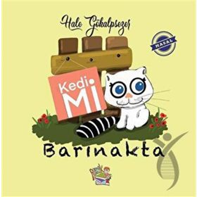 Kedi Mi Barınakta - Hale Gökalpsezer