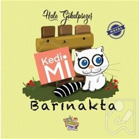 Kedi Mi Barınakta - Hale Gökalpsezer