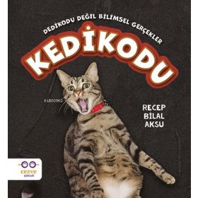 Kedikodu Cezve Çocuk