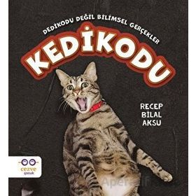 Kedikodu Recep Bilal Aksu