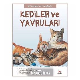 Kediler ve Yavruları - İlk Sorular ve Cevaplarla - Camilla de la Bedoyere