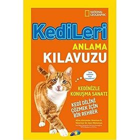 Kedileri Anlama Kılavuzu Kedi Dilini Çözmek İçin Bir Rehber