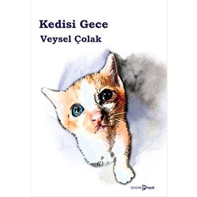 Kedisi Gece - Veysel Çolak