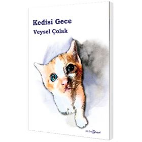 Kedisi Gece - Veysel Çolak