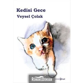 Kedisi Gece - Veysel Çolak