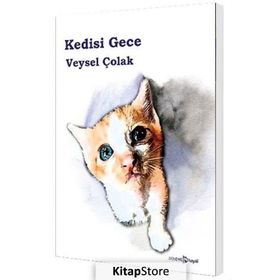 Kedisi Gece - Veysel Çolak