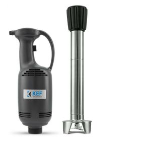 Kef BL40 L50 Profesyonel El Blender