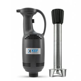 Kef BL40 Profesyonel El Blender