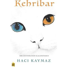 Kehribar - Hacı Kaymaz
