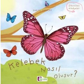 Kelebek Nasıl Oluşur? Zarife Üstpolat
