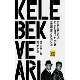 Kelebek ve Arı - Mehmet Ali Başaran