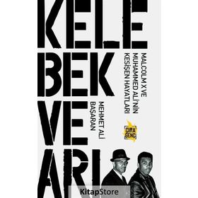 Kelebek ve Arı - Mehmet Ali Başaran