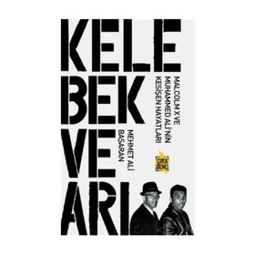 Kelebek ve Arı - Mehmet Ali Başaran