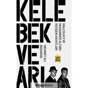 Kelebek ve Arı - Mehmet Ali Başaran