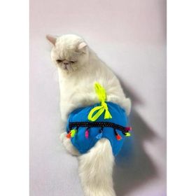 Kemique Blue Tufty Secret Kedi İç Çamaşırı