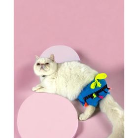 Kemique Blue Tufty Secret Kedi İç Çamaşırı