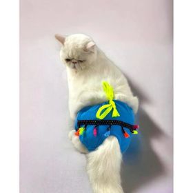 Kemique Blue Tufty Secret Kedi İç Çamaşırı