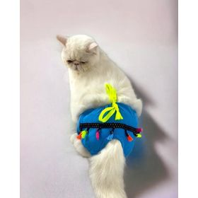 Kemique Blue Tufty Secret Kedi İç Çamaşırı