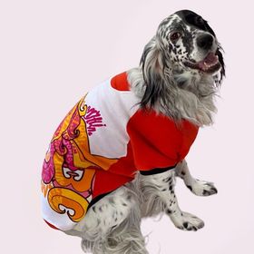 Kemique Cute Girl Special Orta ve Büyük Irklar Köpek Elbisesi