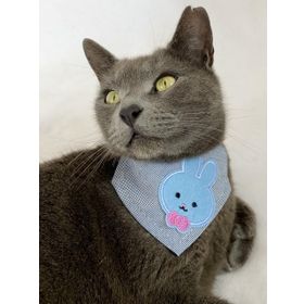Kemique Mavi Bunny Fular Kedi Kıyafeti