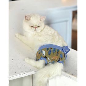 Kemique Renkli Forest Secret Kedi Iç Çamaşırı Regl Külodu
