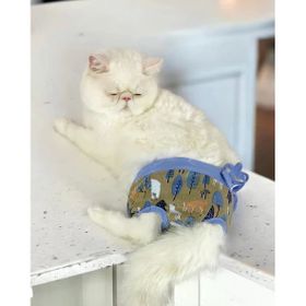 Kemique Renkli Forest Secret Kedi Iç Çamaşırı Regl Külodu