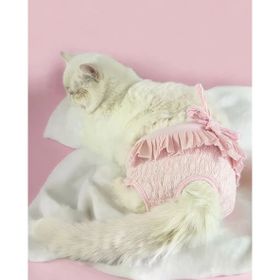 Kemique Rosie Rose Secret Kedi Iç Çamaşırı Regl Külodu