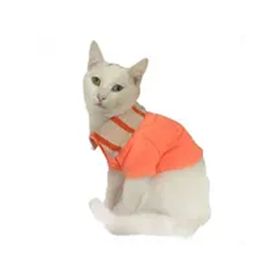 Kemique Salmon Flash Polo Yaka Tişört Kedi Elbisesi