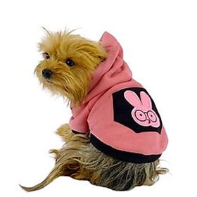 Kemique Student Rabbit Sweatshirt Köpek Elbisesi