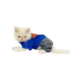 Kemique Superman Penye Tulum Kedi Elbisesi