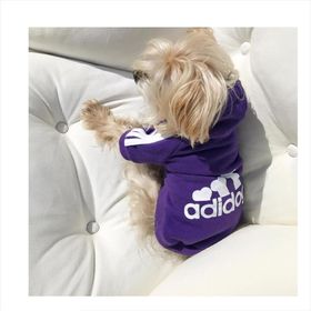 Kemique Xl Mor Sporty Duo Adidog Köpek Sweatshirt