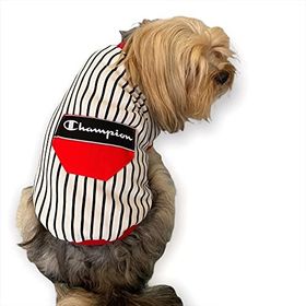 Kemique Xxl Champion Oval Yaka Tişört Köpek Kıyafeti