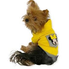 Kemique XXXL Sarı Sevimli Fare Kapşonlu Sweat By Kemique Köpek Kazağı