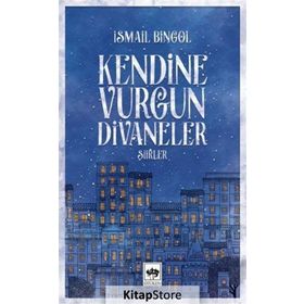 Kendine Vurgun Divaneler - Şiirler - İsmail Bingöl