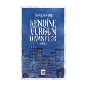 Kendine Vurgun Divaneler - Şiirler - İsmail Bingöl