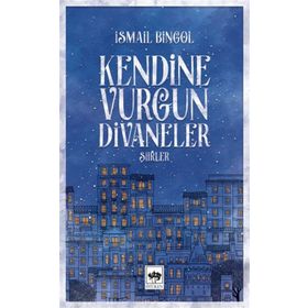 Kendine Vurgun Divaneler - Şiirler - İsmail Bingöl