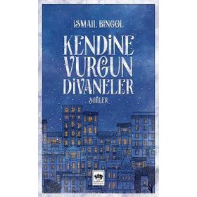 Kendine Vurgun Divaneler - Şiirler - İsmail Bingöl