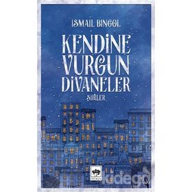 Kendine Vurgun Divaneler - Şiirler - İsmail Bingöl