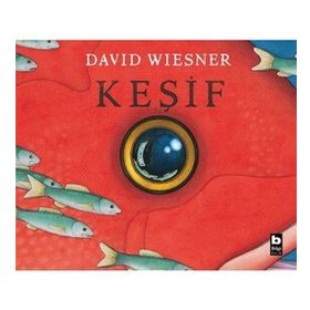 Keşif David Wiesner