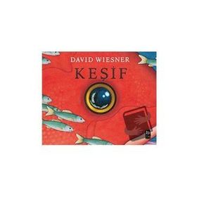 Keşif David Wiesner