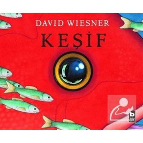 Keşif David Wiesner