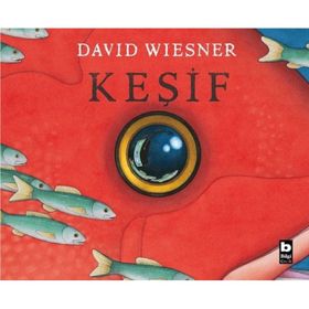 Keşif David Wiesner